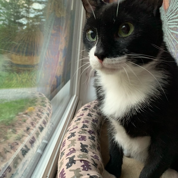 Meet your Posher, Rachel - Picture 1 of 1